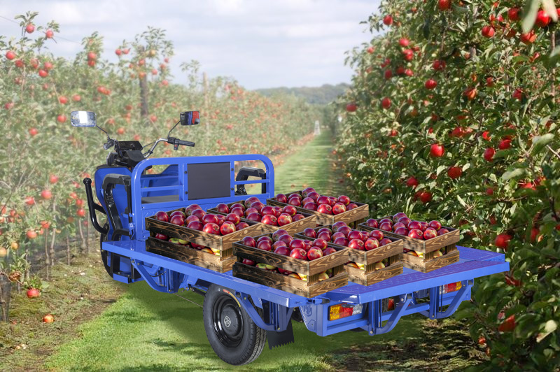 Особенная новинка: трицикл Rutrike Габарит 1700