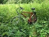 Народный тест Dutch M