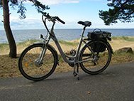 Тест электровелосипеда Eltreco Dutch L