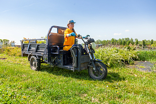 Трициклы Rutrike в работе! Питомник В. Овчинникова